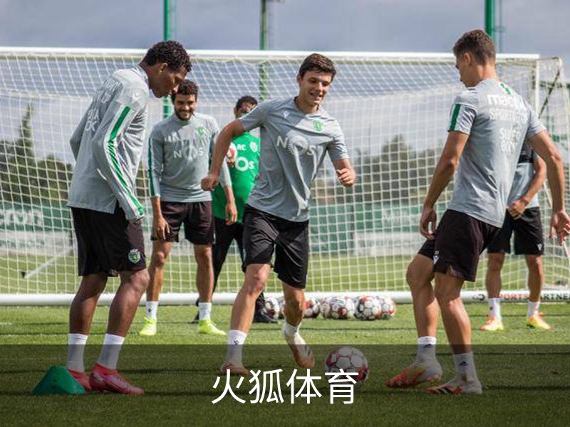 火狐体育介绍
